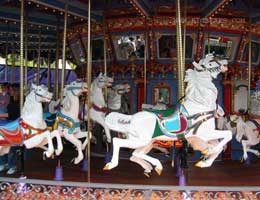 Carrousel Horses